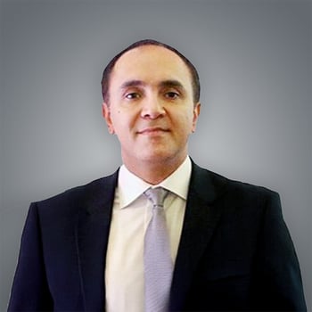 Vice Chairman