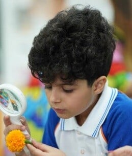 Santino (Small)