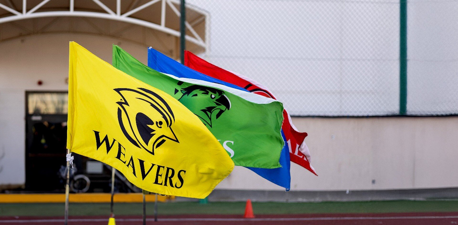 House Flags (Large)